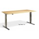 Forge Dual Motor Height Adjustable Desk